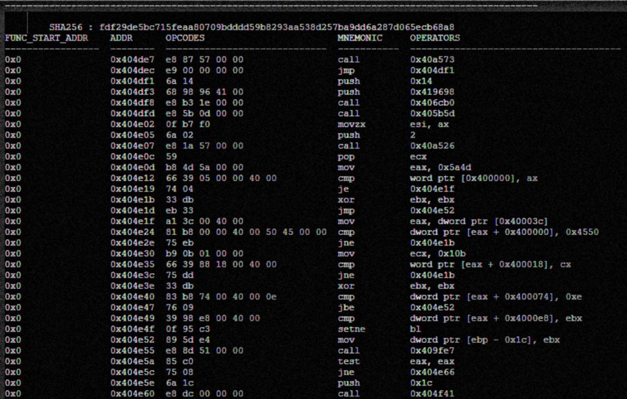 Disassembly raw output showing opcodes