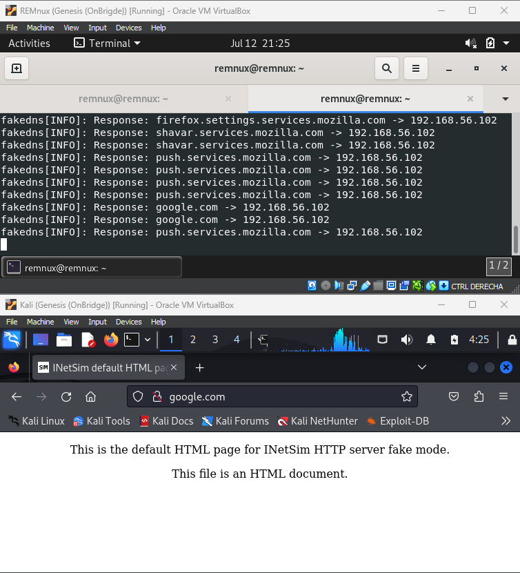 Redirección DNS vista desde Kali Linux